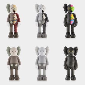 Companion - Set of 6