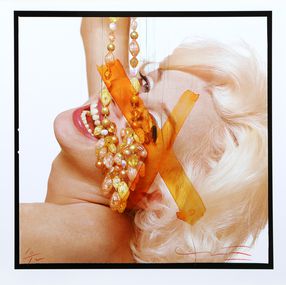 Marilyn Monroe: The Last Sitting Portfolio 4