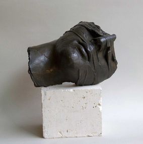 Testa