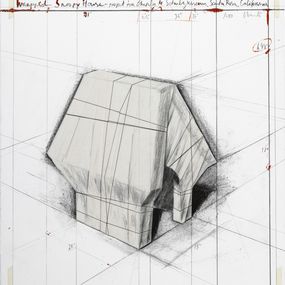 Wrapped Snoopy House Collage