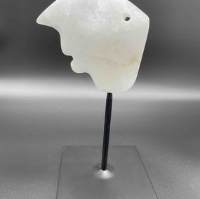 Poisson blanc