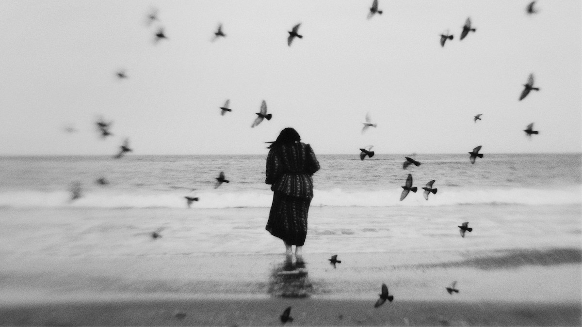 Pourquoi les artistes privilégient la photographie en noir et blanc ?