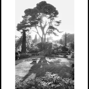 The tree of life