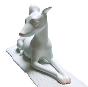 Italian Greyhound on Bark