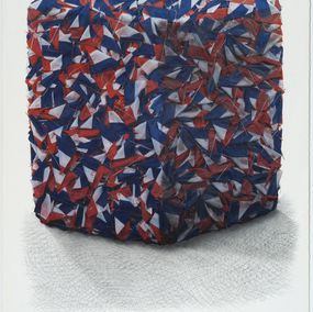 Portrait de compression de drapeaux Français