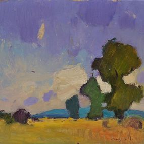 Sketch in Field