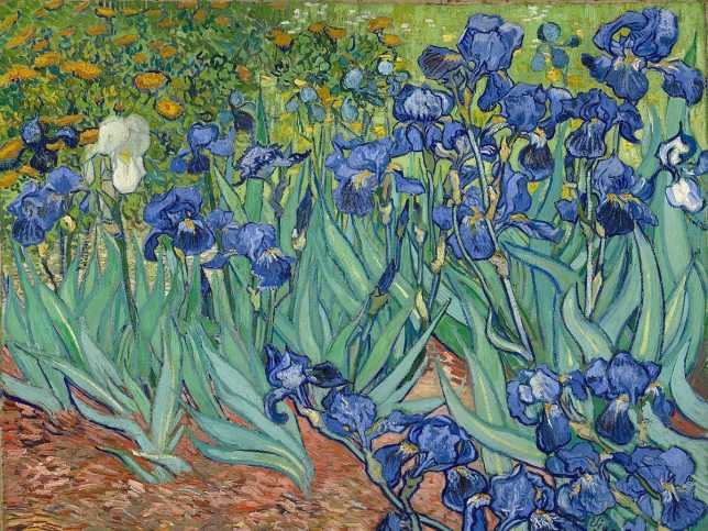 van gogh 