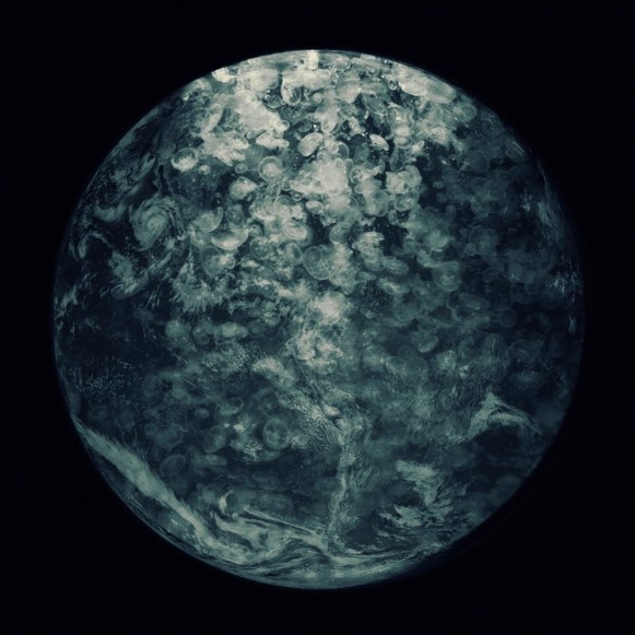Méduses 01, Mercedes Cosano, 2019