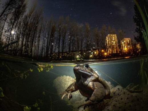 Pendant votre sommeil © Mark Kirkland - UPY2021