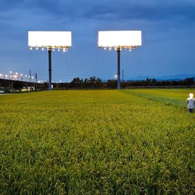 T-Bar and Rice Field (Vision of Taiwan)