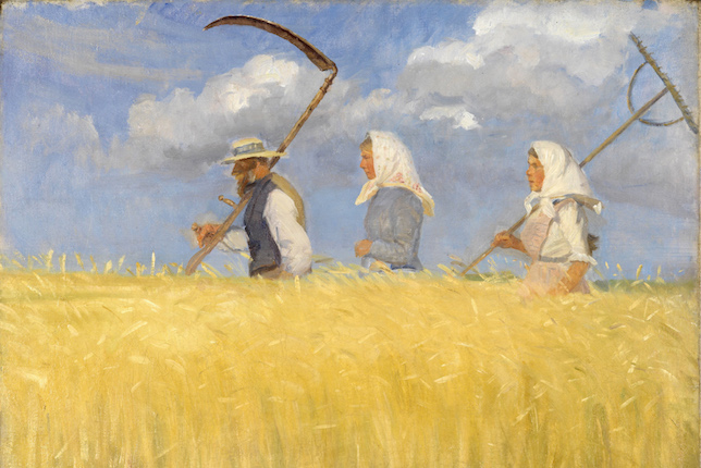 Anna Ancher, Récolte, 1905