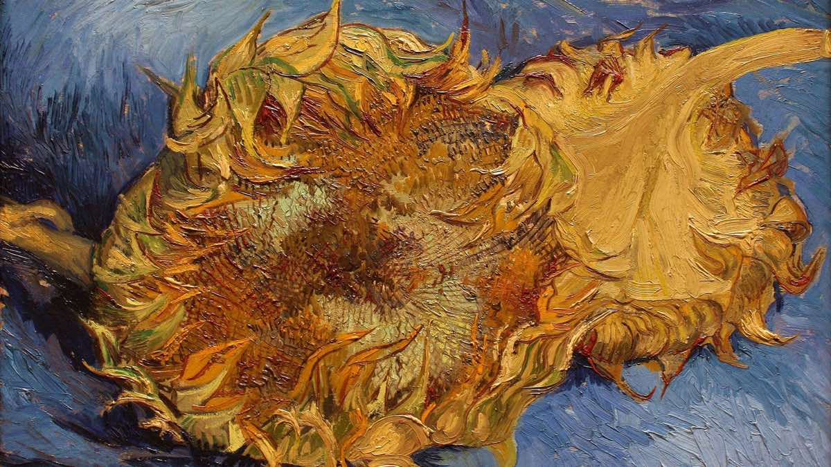 La fascination de Van Gogh pour les tournesols