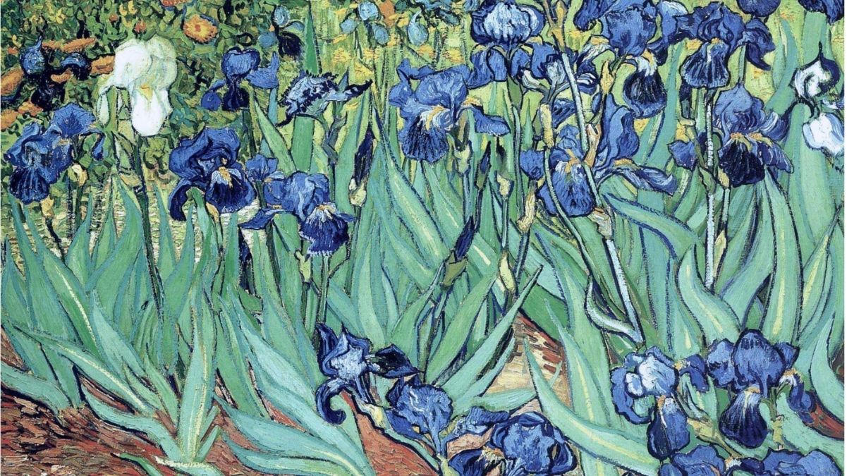 5 livres d'art sur les artistes hollandais