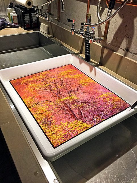 Impression ilfochrome